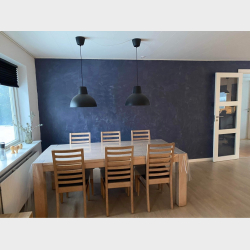 Ejendommen Solsortevej 12