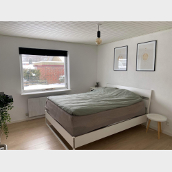 Ejendommen Solsortevej 12