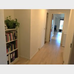 Ejendommen Teglgade 50B