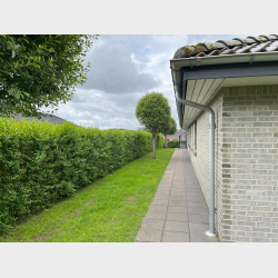 Ejendommen Hermelinvej 5